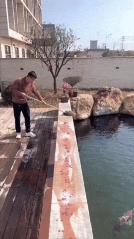 TRAPEADOR ESCURRIBLE LIMPIEZA FACIL